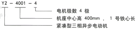 YR系列(H355-1000)高压YKK6302-12三相异步电机西安西玛电机型号说明